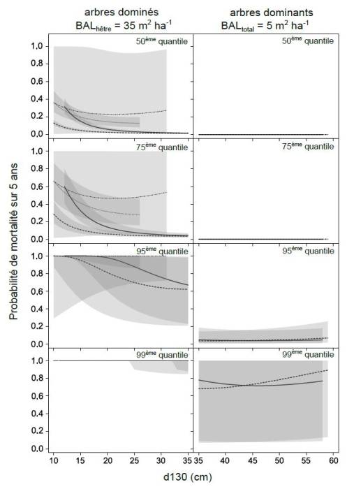 Probabilité de mortalité d'arbres dominés et dominants de chêne (trait...
