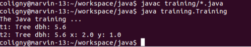 online-java-exercise-3-compile-and-run.png