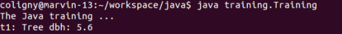 online-java-exercise-2-run-in-terminal.png